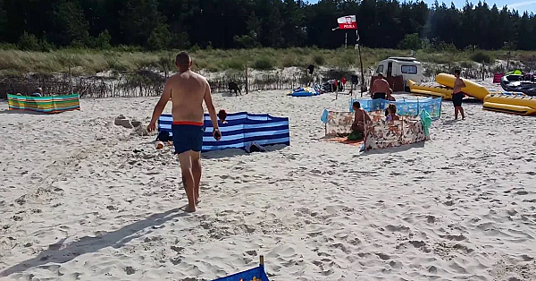 Zee-zwijn slaat op hol