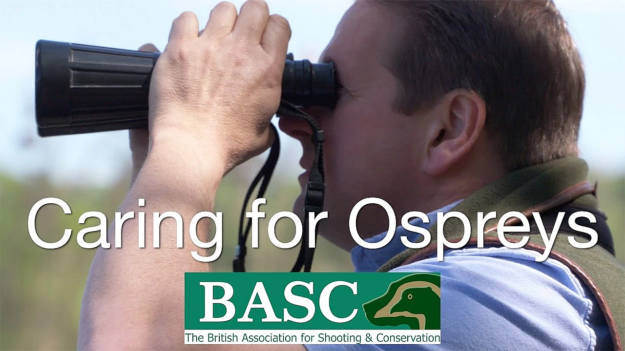 The Basc Osprey Project