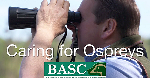 The Basc Osprey Project