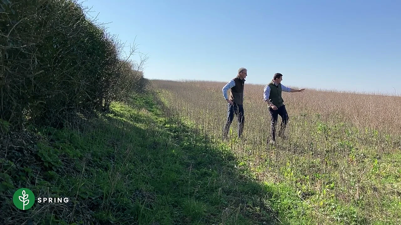 Four Seasons - Good Grey Partridge Habitat