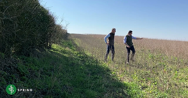 Four Seasons - Good Grey Partridge Habitat