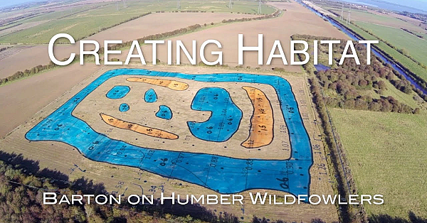 Wildfowlers Creating Habitat: Big Dig Completed (3 Of 3)