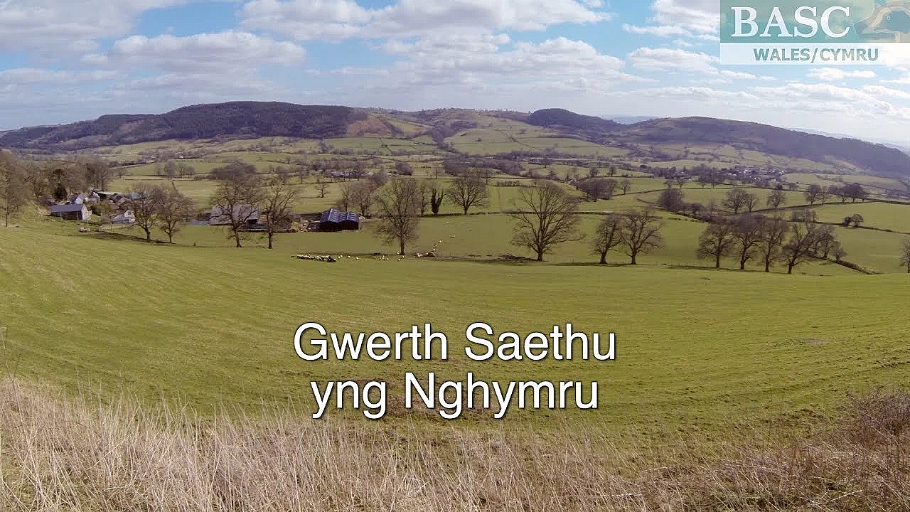 Gwerth Saethu Yng Nghymru - Y Ffeithiau