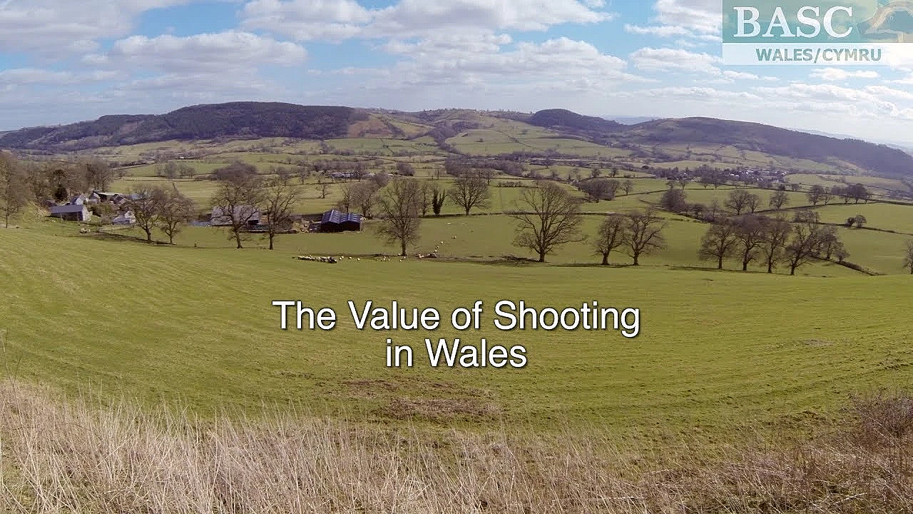 The Value Of Shooting In Wales - The Facts