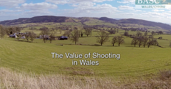 The Value Of Shooting In Wales - The Facts