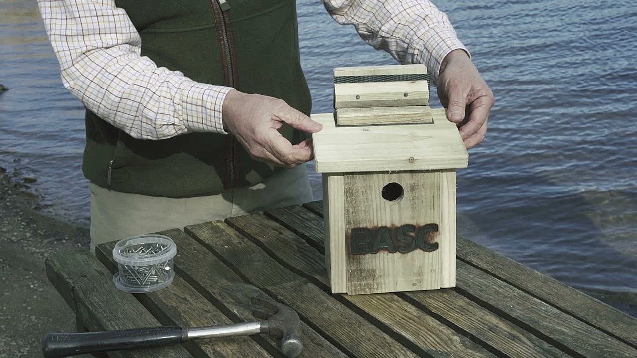 Make Your Own Basc Bird Box