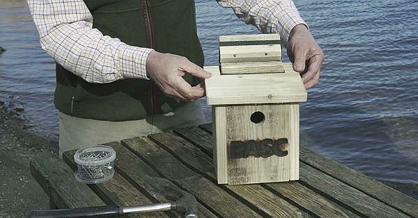 Make Your Own Basc Bird Box