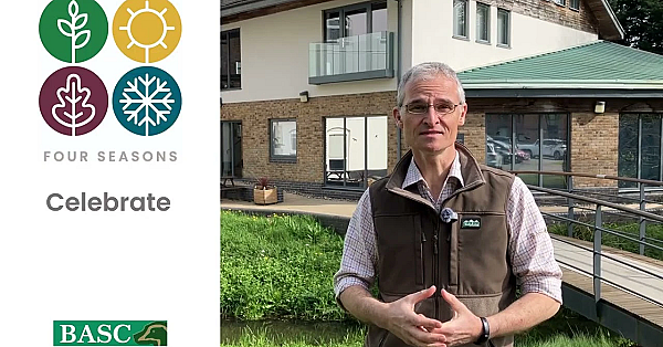 Basc's Four Season Campaign