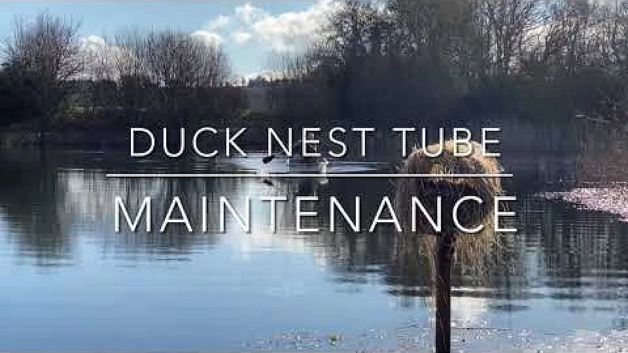 Duck Tube Maintenance