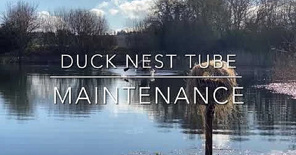 Duck Tube Maintenance