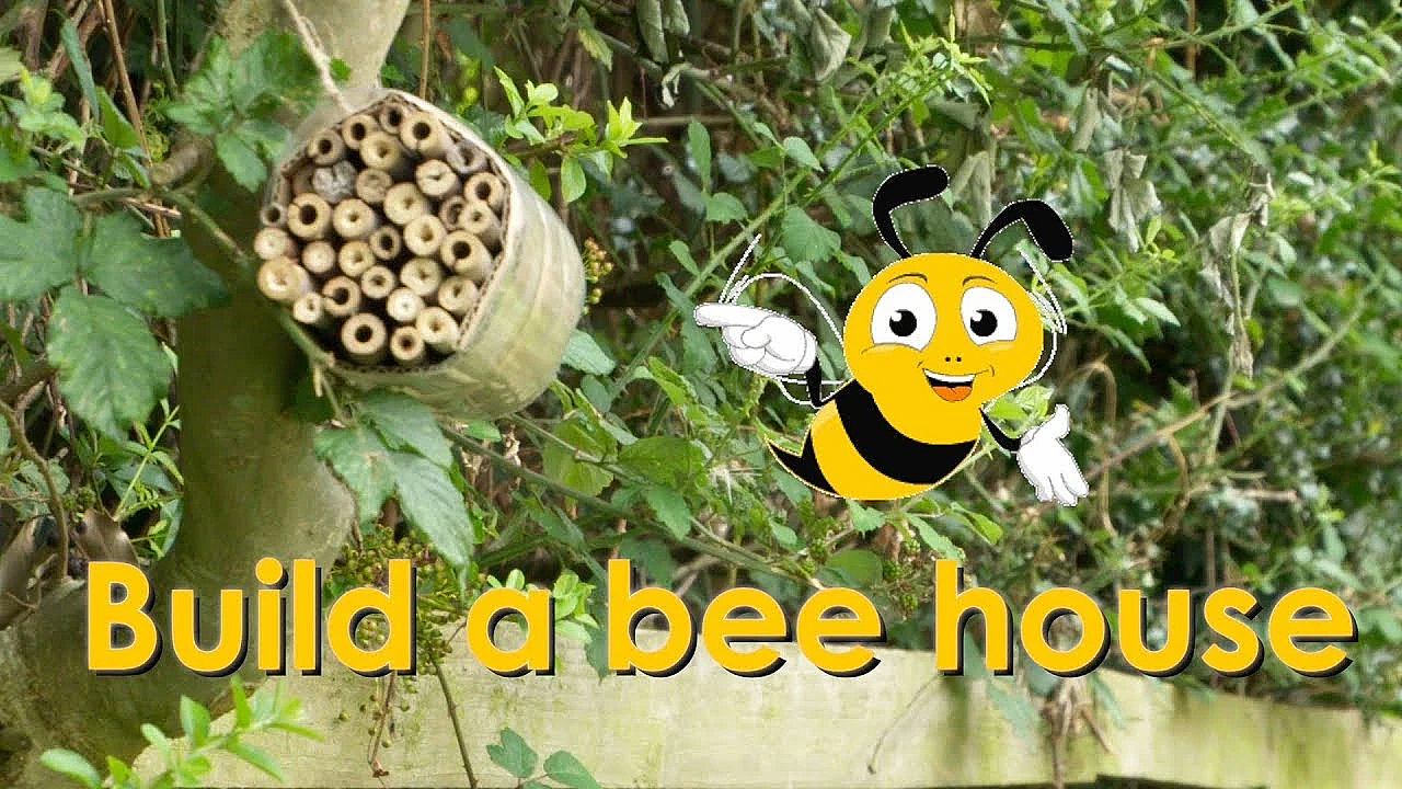 How To Build A Bee House