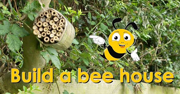 How To Build A Bee House
