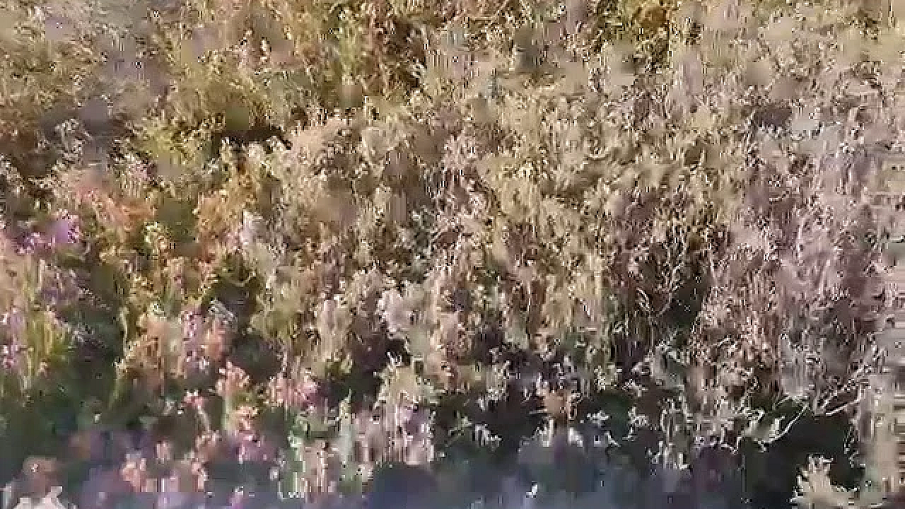 Basc's Uplands Officer Gareth Dockerty With The Yorkshire Post On 12th August 2020