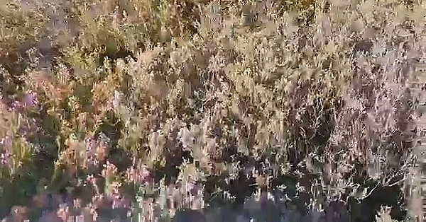 Basc's Uplands Officer Gareth Dockerty With The Yorkshire Post On 12th August 2020