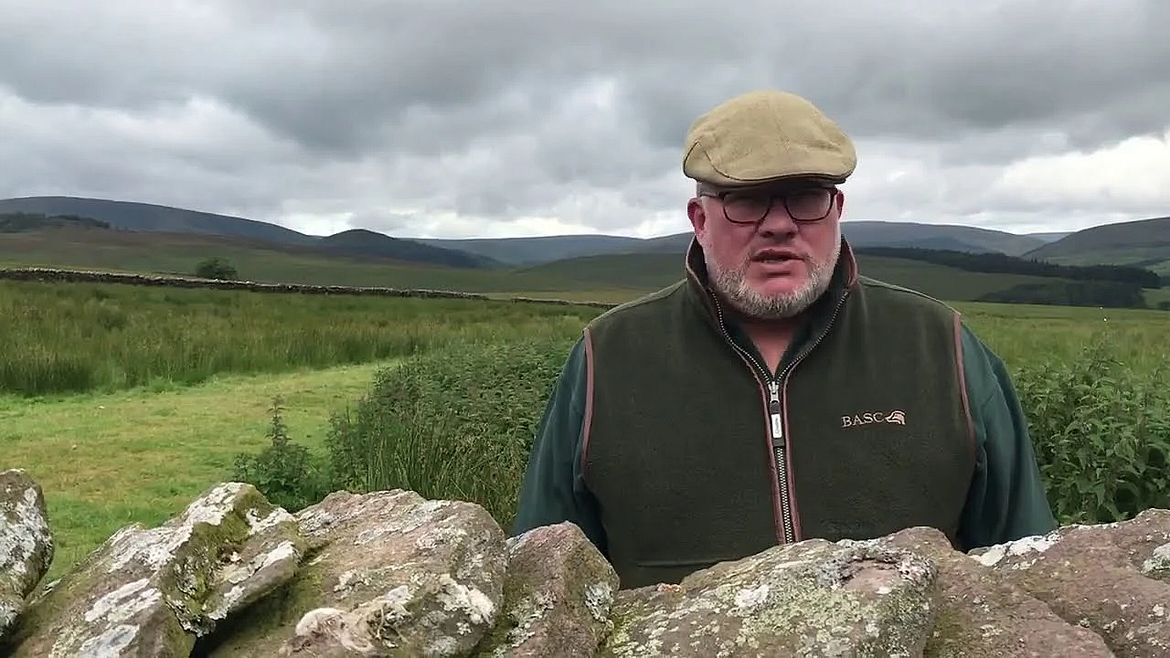 Grouse Prospects In The North Of England 2020