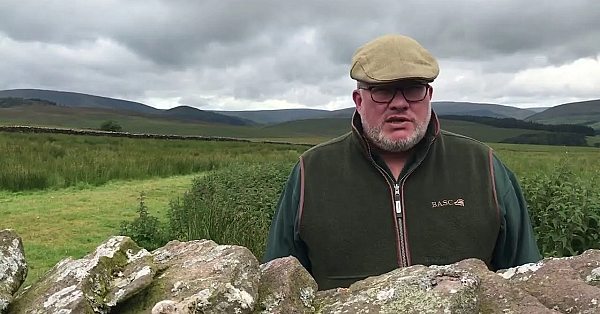 Grouse Prospects In The North Of England 2020