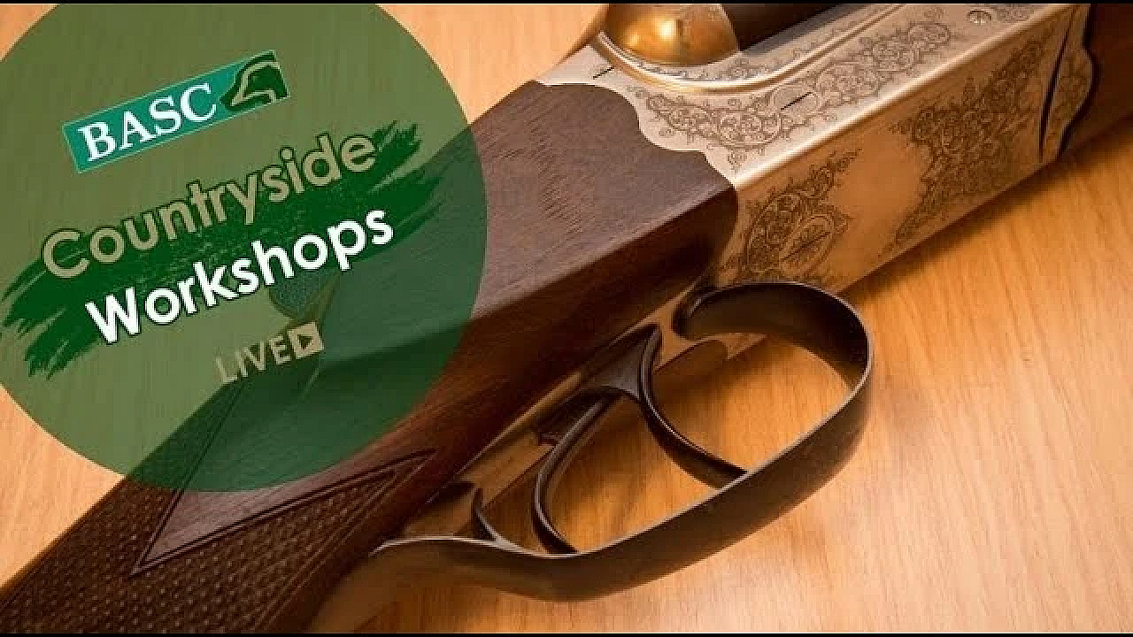 Apcc Firearms Survey