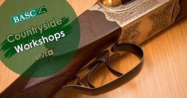 Apcc Firearms Survey