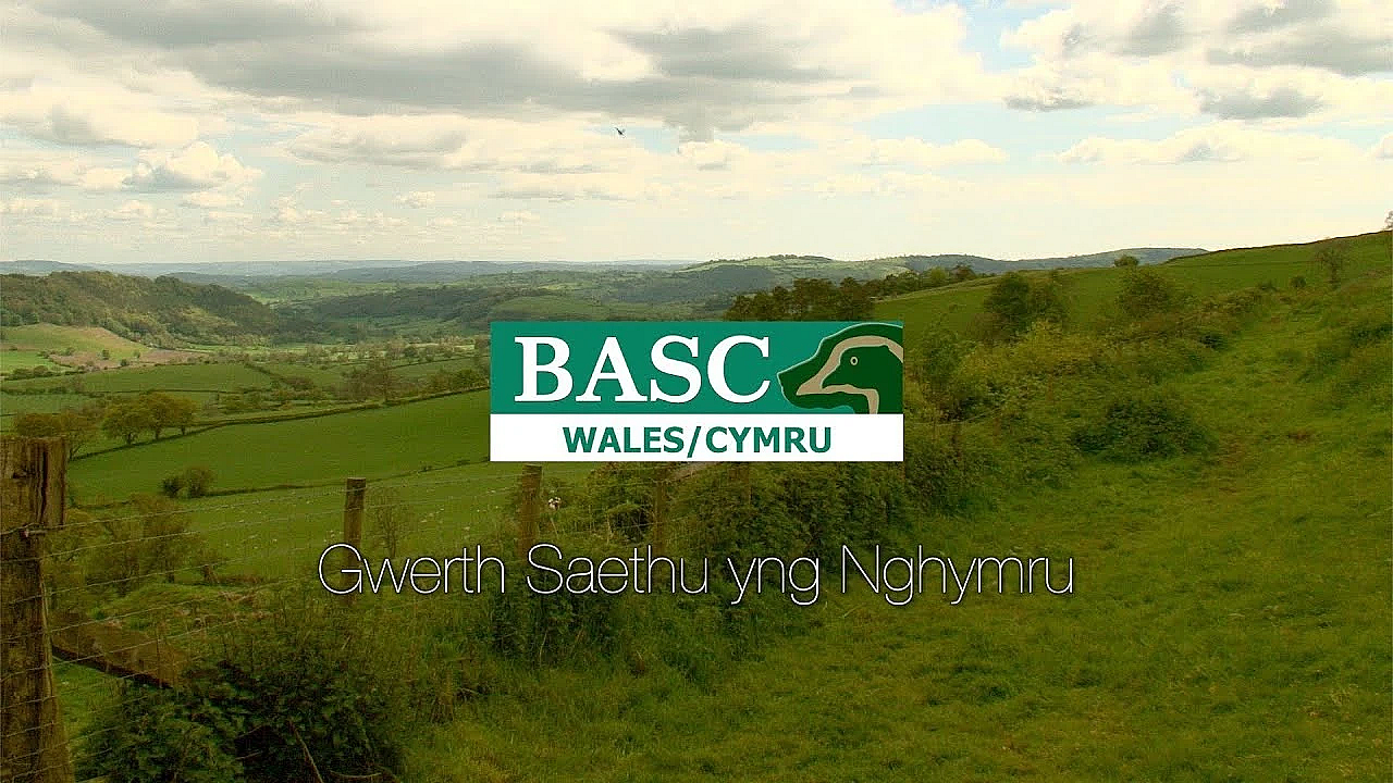 Gwerth Saethu Yng Nghymru