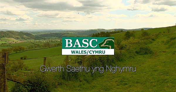 Gwerth Saethu Yng Nghymru