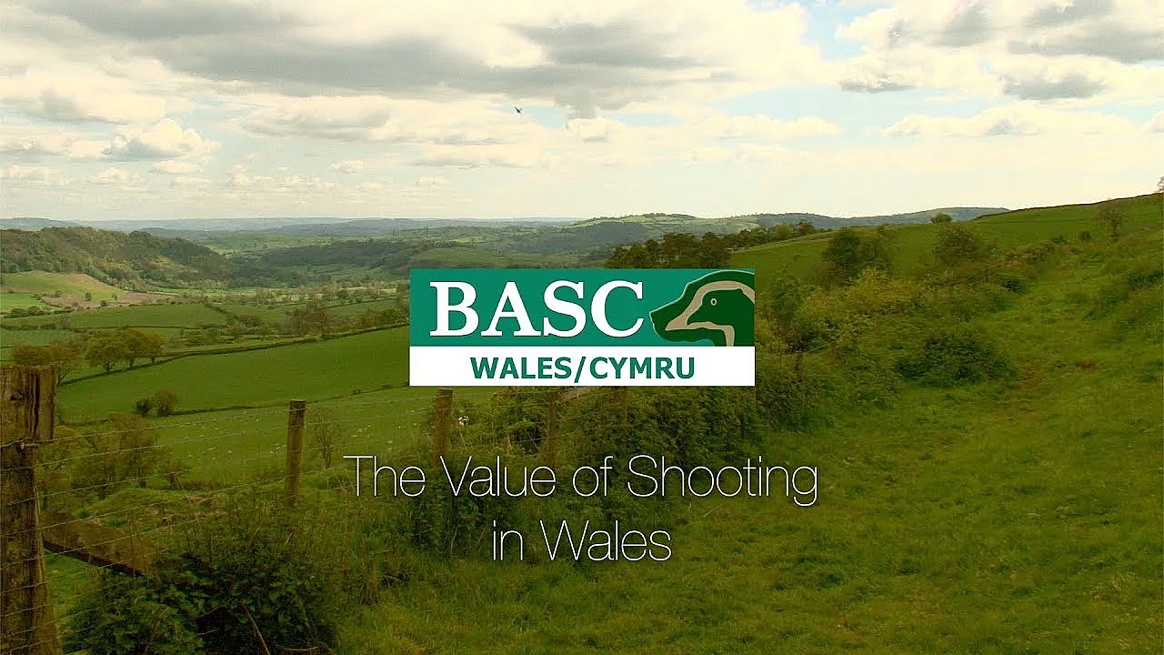 The Value Of Shooting In Wales