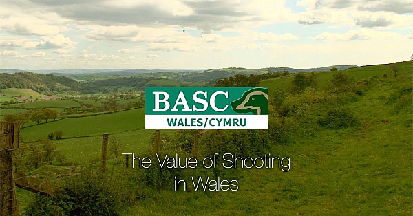 The Value Of Shooting In Wales