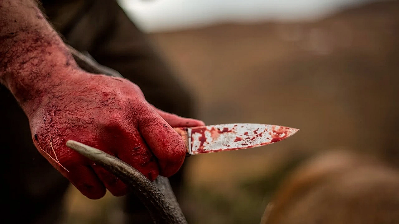 Jachtreis in Schotland, afl. 6: Een terugkeer