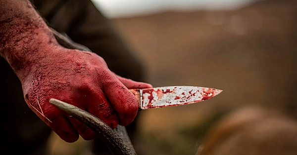 Jachtreis in Schotland, afl. 6: Een terugkeer