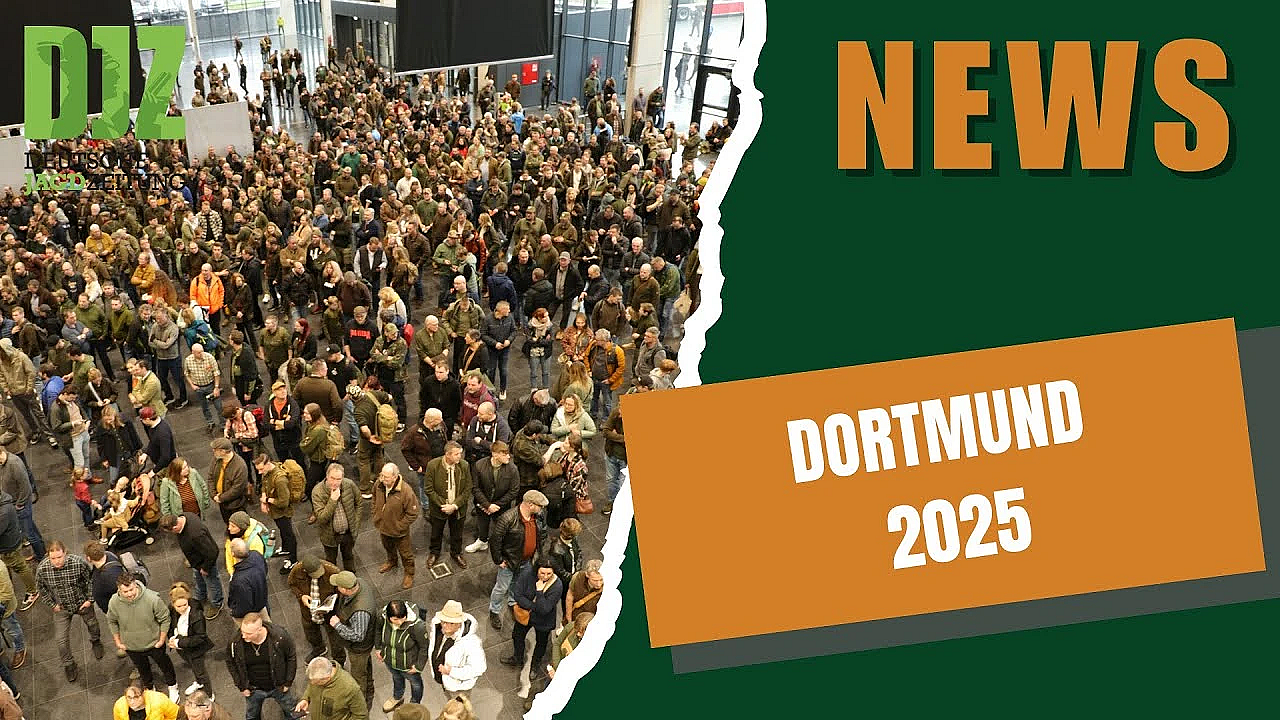 +++ Djz News 22 01 2025 +++