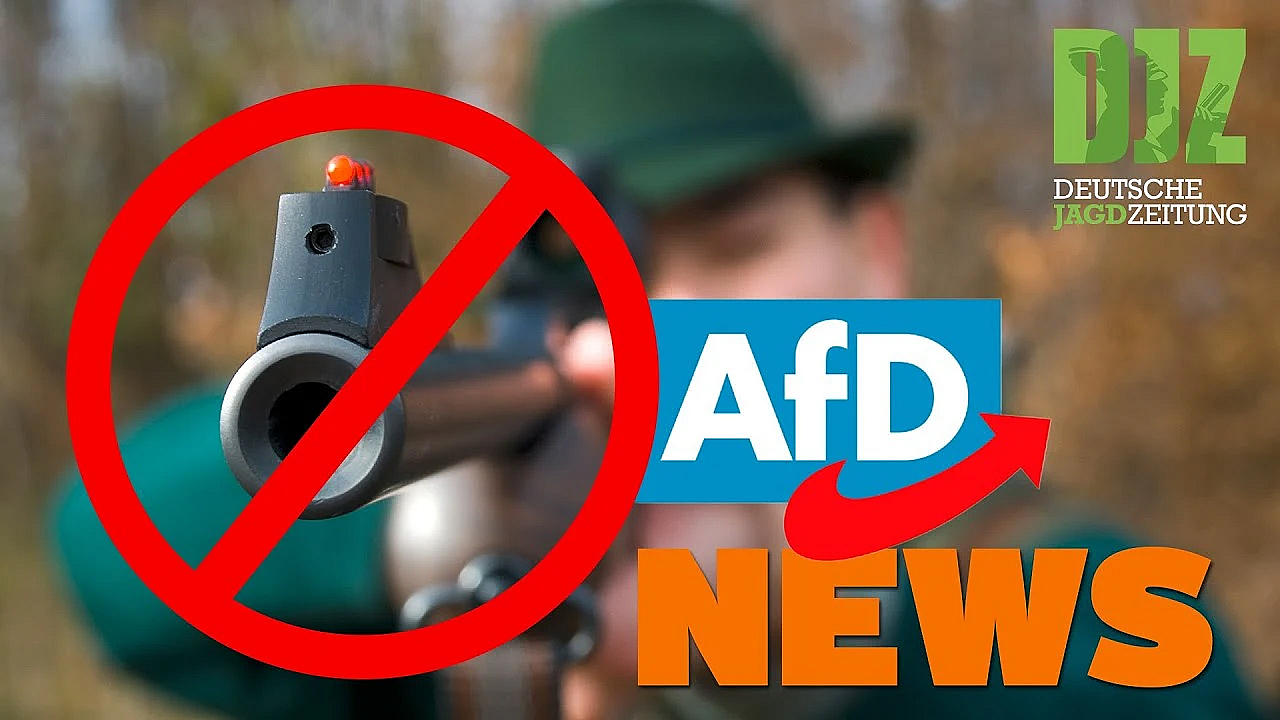 Sippenhaft Für Afd-mitglieder, Hessische Jäger Waren Fleißig  U.w. - Djz News Vom 6. Juli 2022.