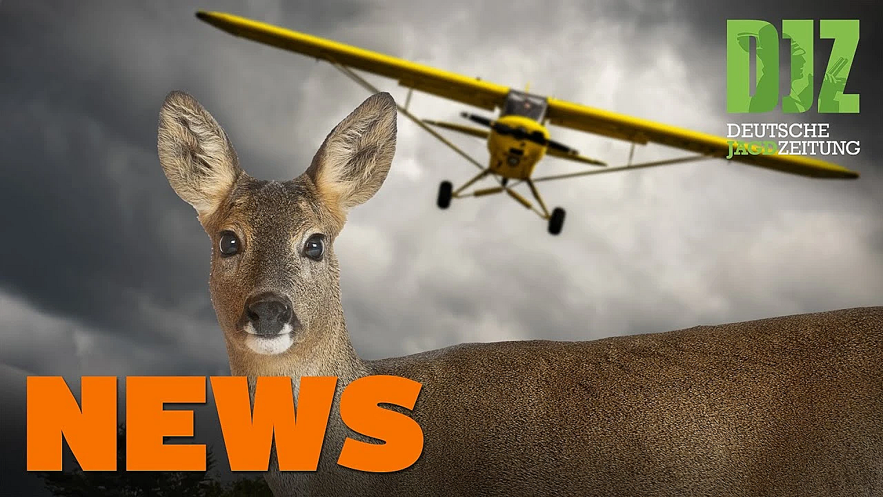 Wildunfall Auf Flugplatz, Fellwechsel Ohne Prämie, Klage Abgeschmettert U.w. - Djz-news 49/2020