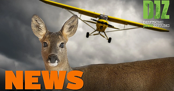 Wildunfall Auf Flugplatz, Fellwechsel Ohne Prämie, Klage Abgeschmettert U.w. - Djz-news 49/2020