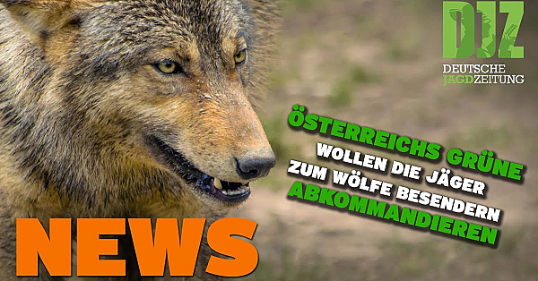 Rehkadaver In Müllsack, Jäger Sollen Wölfe Besendern, Mehr Hasen U.w. - Djz News 15/2022