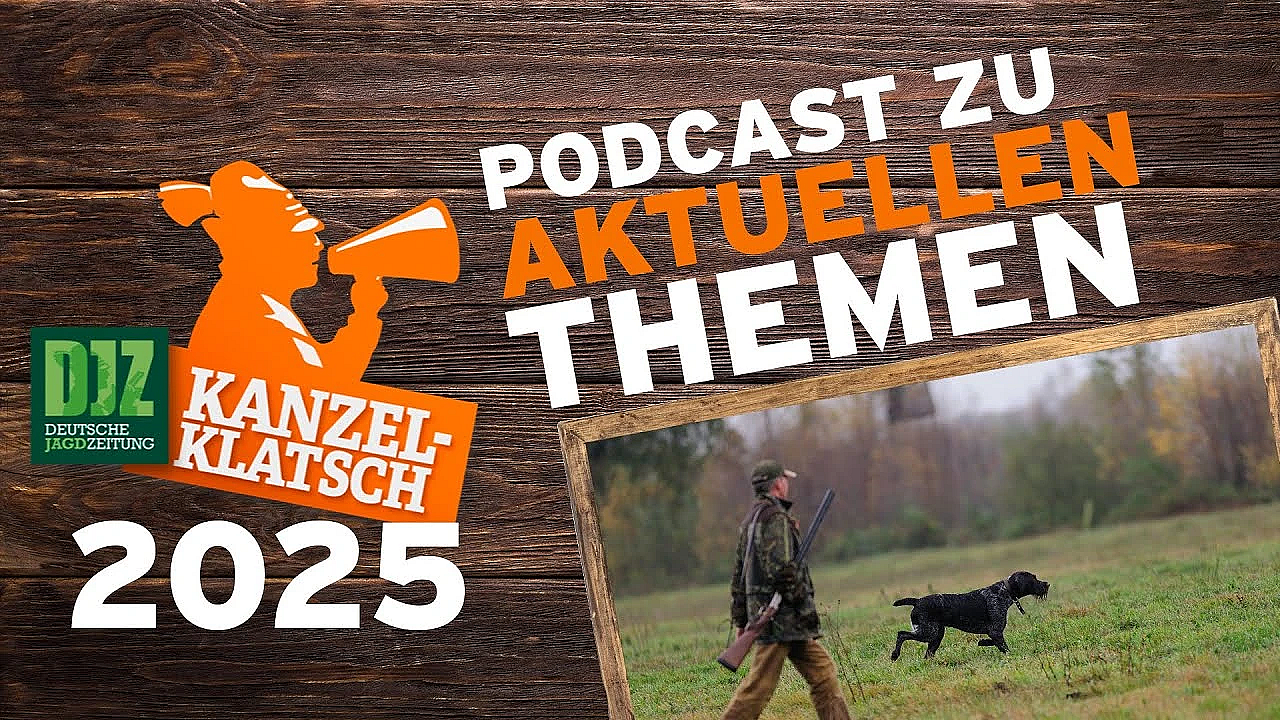 Djz-kanzelklatsch - Prüfungsgeschehen