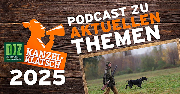 Djz-kanzelklatsch - Prüfungsgeschehen