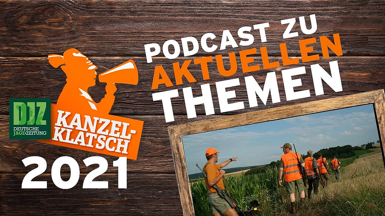 Djz-kanzelklatsch - Maisjagd