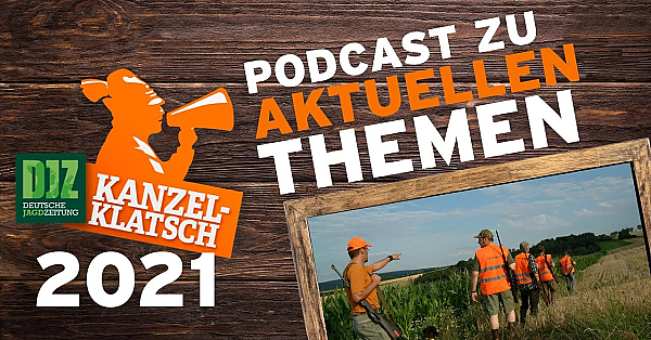 Djz-kanzelklatsch - Maisjagd