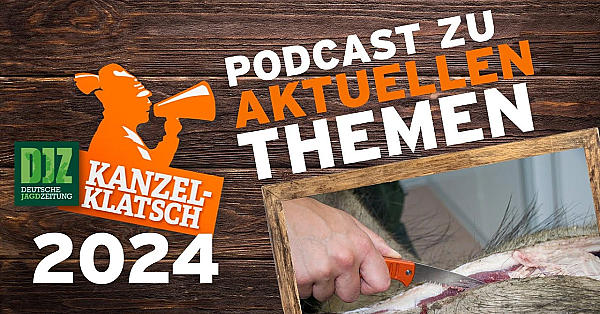 Djz-kanzelklatsch - Aufbrechen