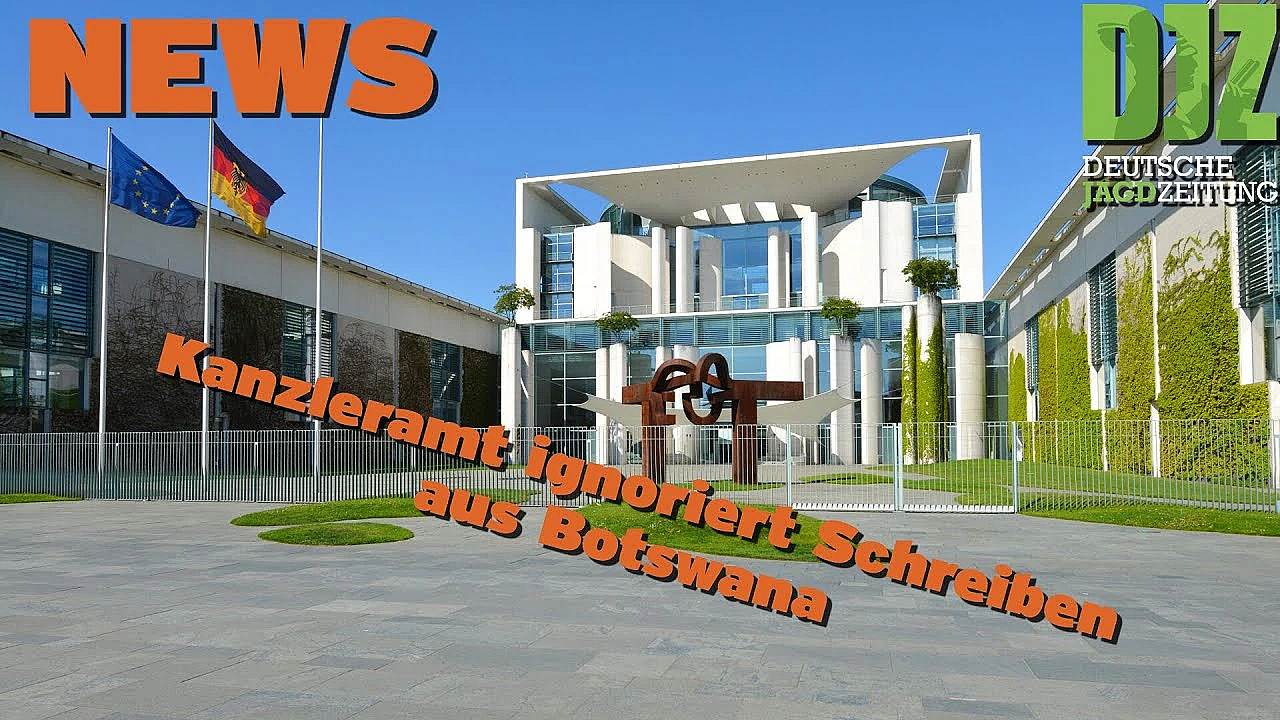 Djz News 29.05.2024