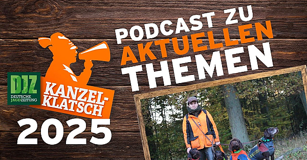 Djz-kanzelklatsch - Zukunft Des Jagdhundes