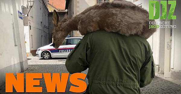 Spektakuläre Rehrettung, Bockjagd-countdown, Waldbrand U.w. - Djz-news 17/2020