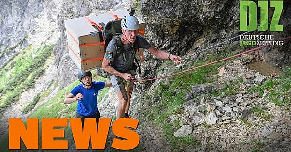 Unfall Mit Ferrari, Bartgeier In Berchtesgaden, Fehlverhalten Im Wald U.w. - Djz-news 24/2021