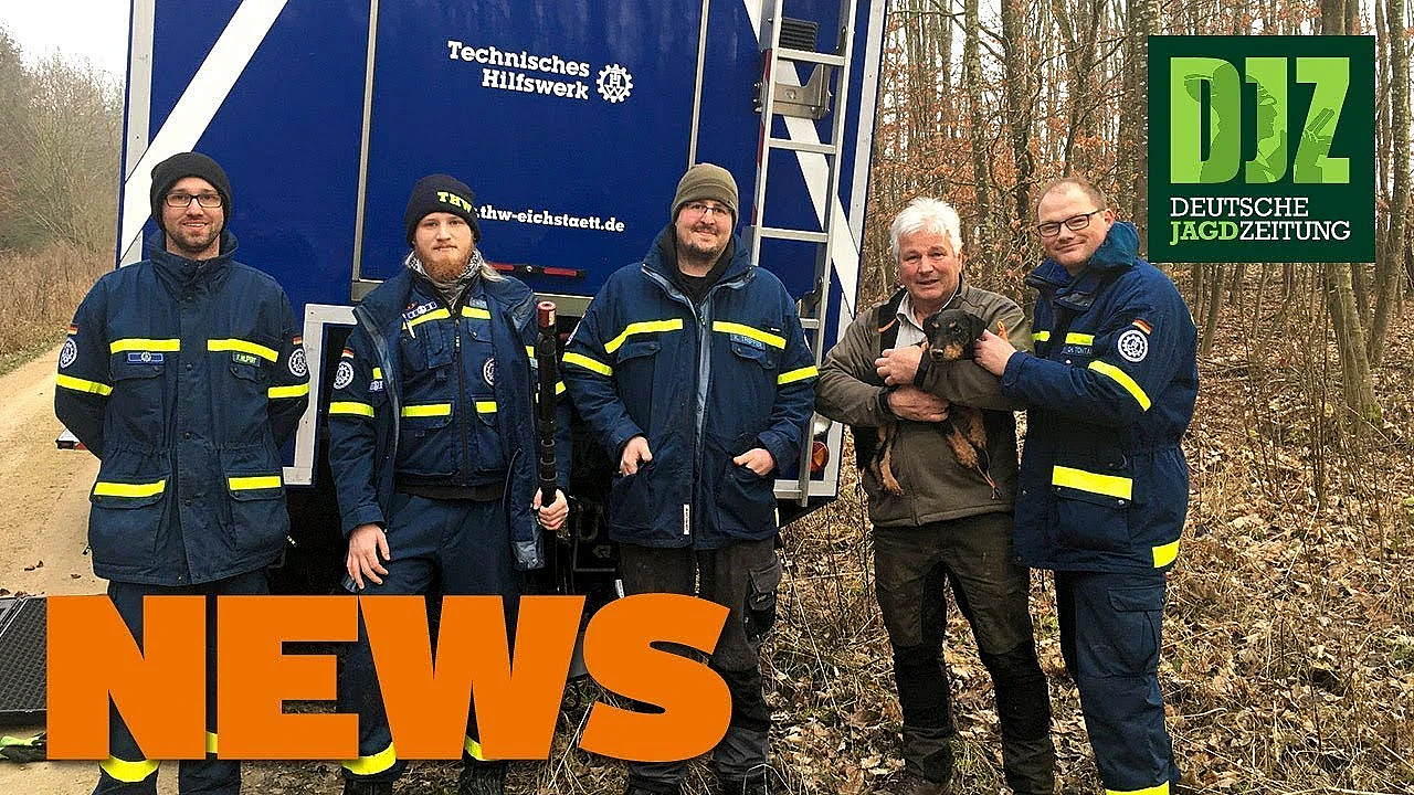 Coronavirus, Wölfe, Grünröcke Und Ein Terrier U.w. - Djz-news 5/2020