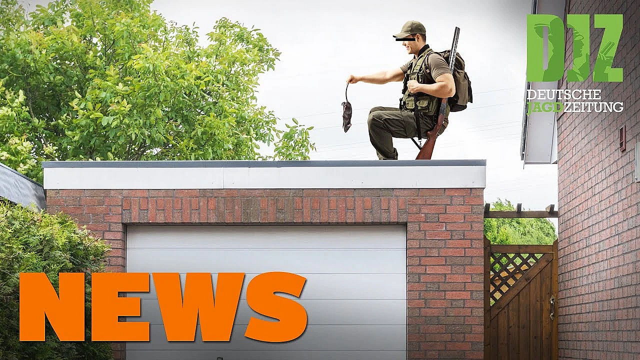 Klappstuhljäger, Einreisegenehmigung, Waldstrategie 2050 U.w. - Djz-news 18/2020