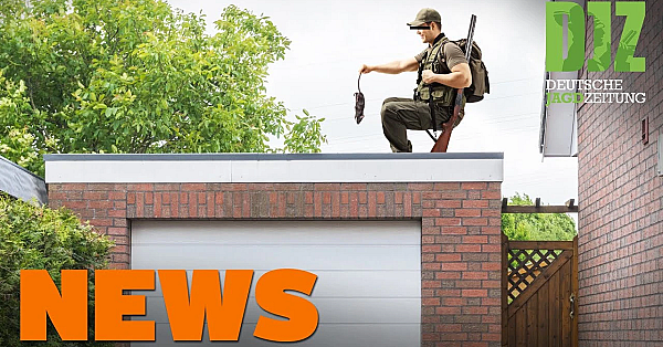 Klappstuhljäger, Einreisegenehmigung, Waldstrategie 2050 U.w. - Djz-news 18/2020