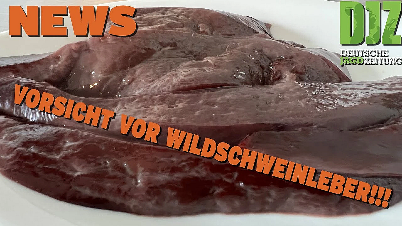 Djz News  04.09. 2024