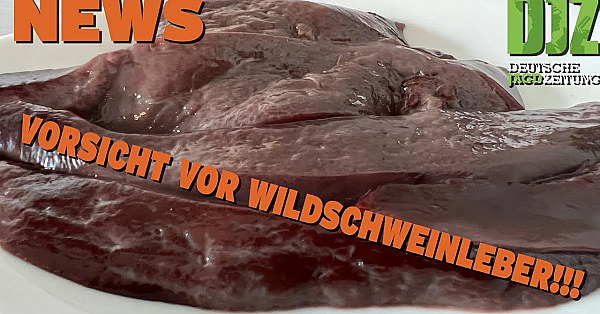 Djz News  04.09. 2024