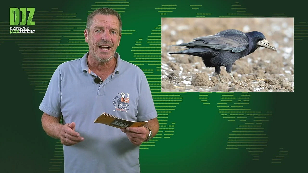 Jäger Angegriffen, Ärger Um Geförderte Drohnen, Messe In Dortmund U.w. - Djz News 23/2022