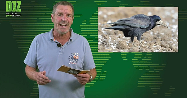 Jäger Angegriffen, Ärger Um Geförderte Drohnen, Messe In Dortmund U.w. - Djz News 23/2022