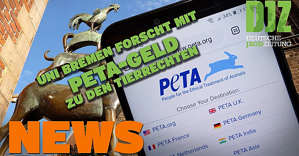 Uni Forscht Mit Peta-geld Zu Tierrechten, Wolfszahlen In Hessen Steigen U.w. - Djz News Vom 11.5.22